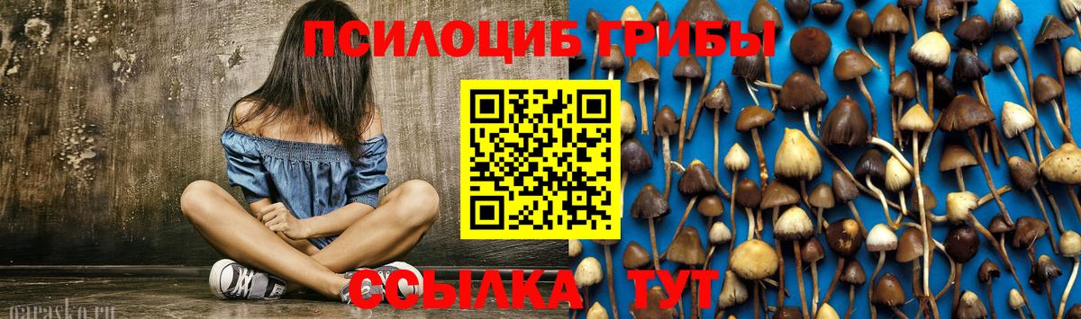 Псилоцибиновые грибы GOLDEN TEACHER  Вход с VPN  Батайск 