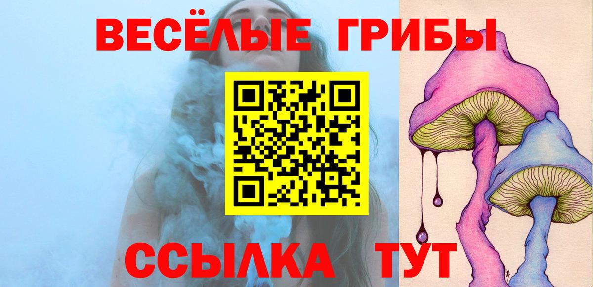 Псилоцибиновые грибы Psilocybe Батайск